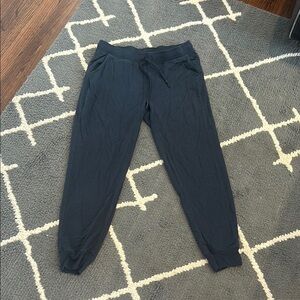 Moosejaw Navy Joggers